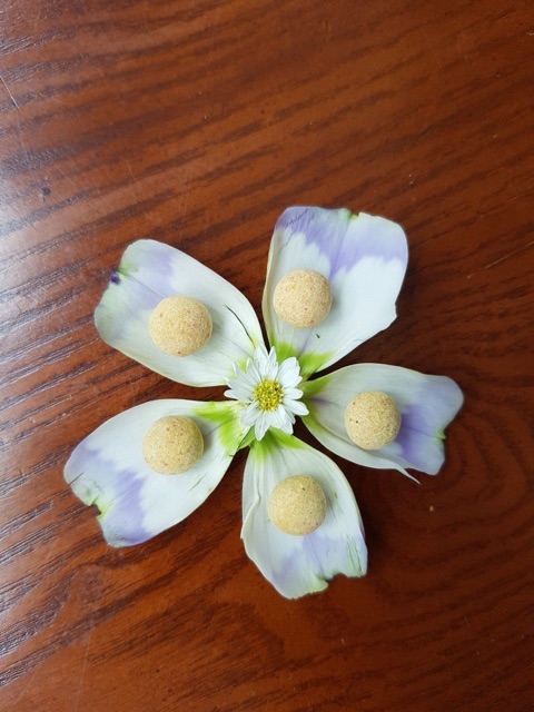 HỒNG QUÝ PHI | BigBuy360 - bigbuy360.vn