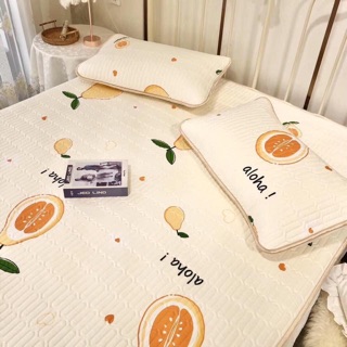 Chiếu điều hòa tencel loại 1 (1 chiếu + 2 vỏ gối)