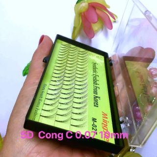 Mi fan khay 5D cong C