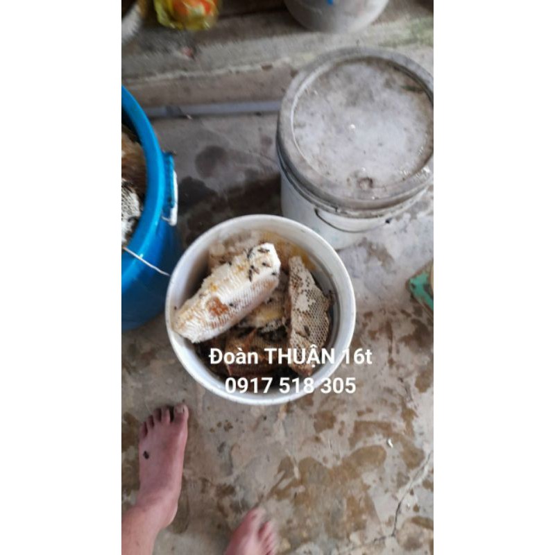 1 kg Mật ong rừng U Minh Nguyên sáp