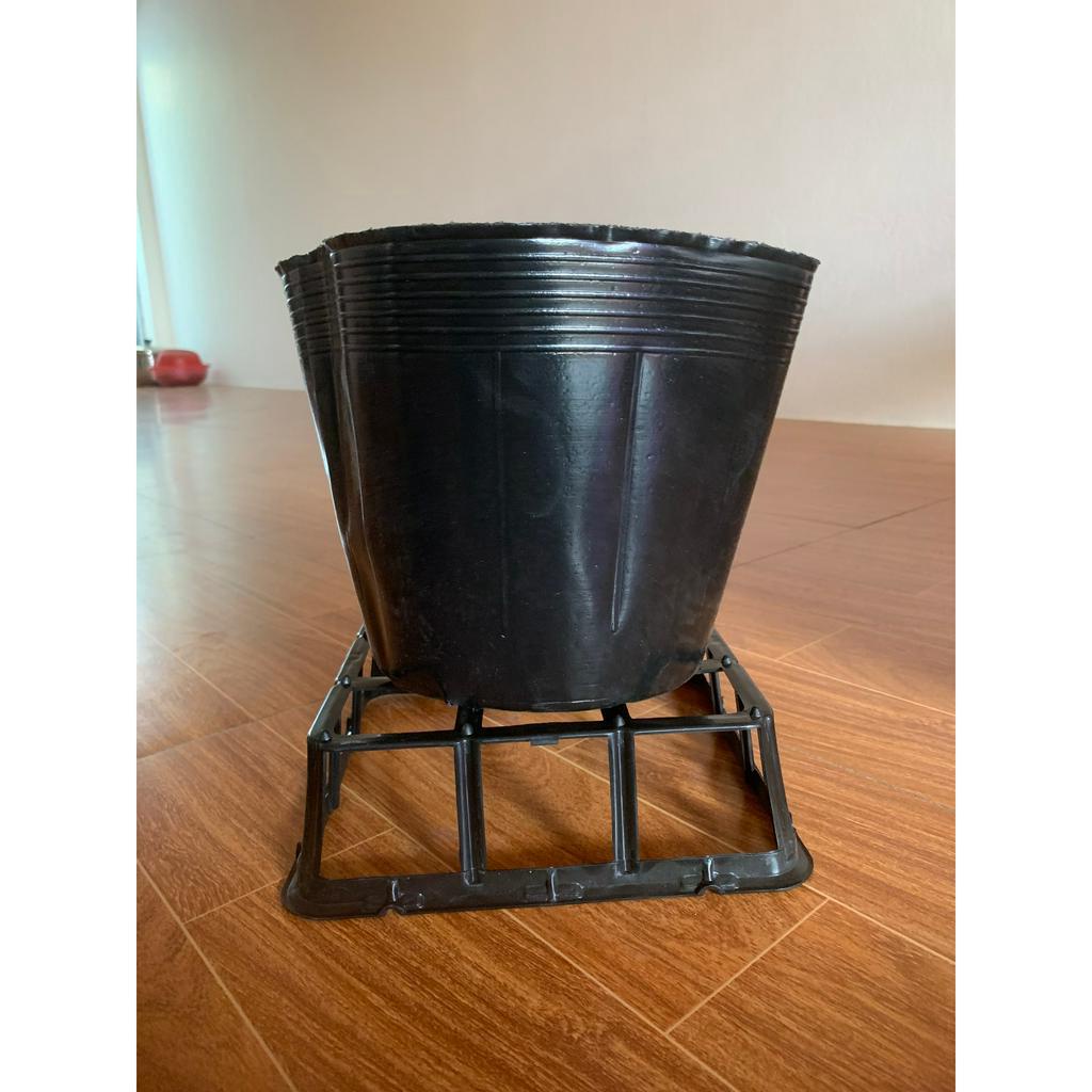 ĐẾ KÊ BẦU GIÁ THỂ