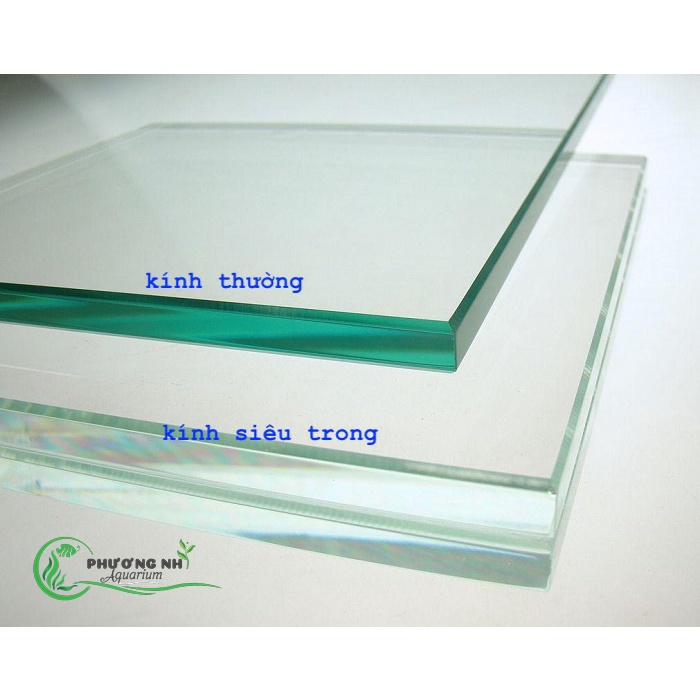 Hồ siêu trong 60x40x40  chỉ giao tại HCM