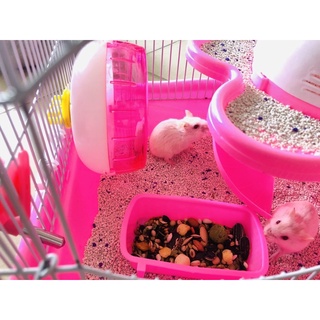 Cát buddy trắng, cát lót chuồng hamster [1kg]