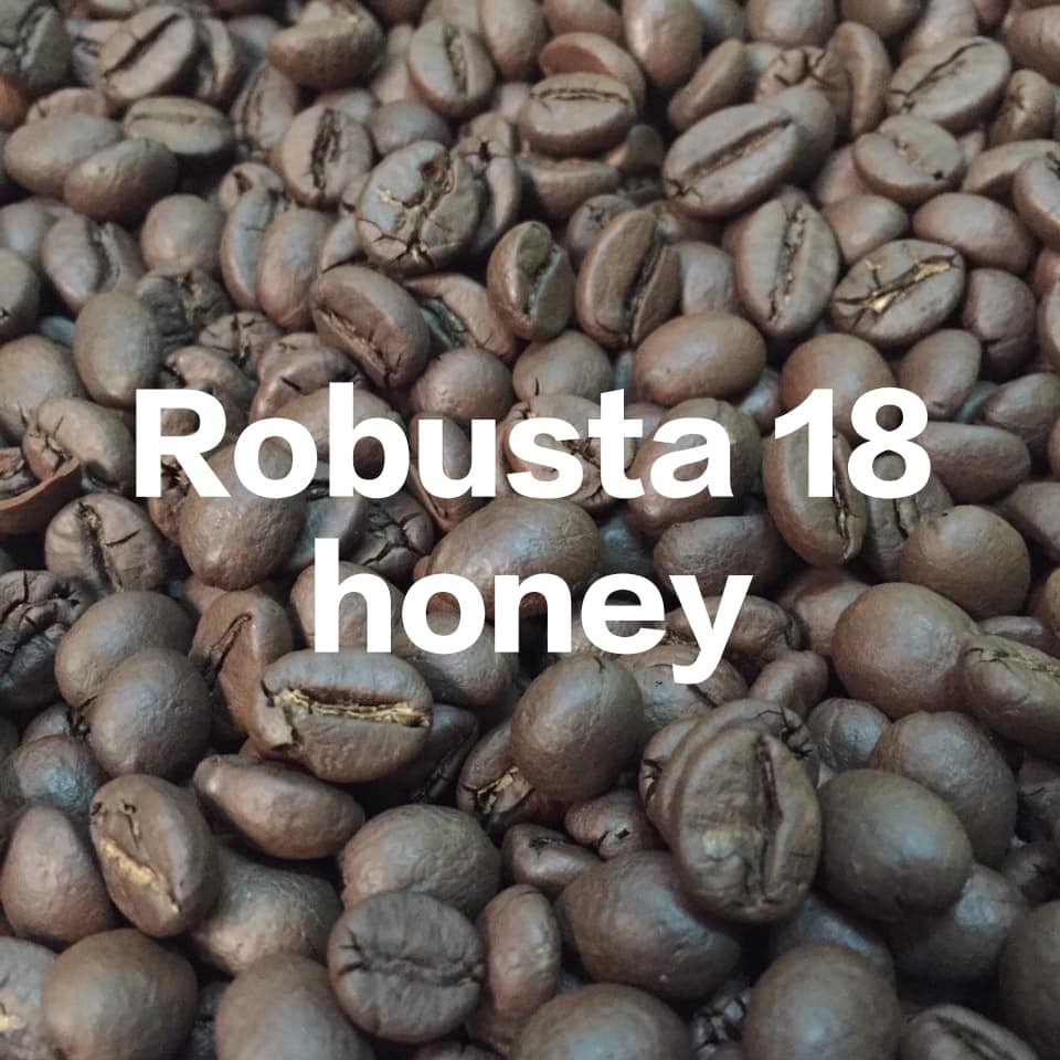 1KG Cà phê nguyên chất Robusta Honey S18 - Đắk Lắk - Rang mộc - thơm ngon đậm vị