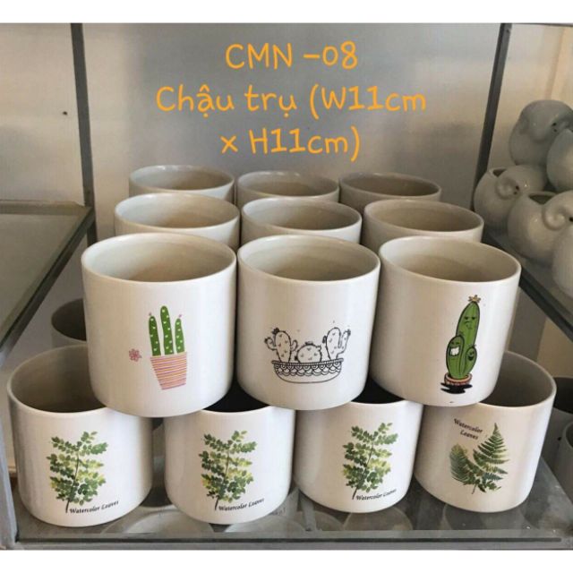 Chậu sứ trồng cây siêu cute