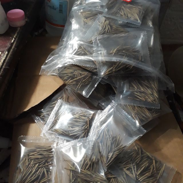 Hạt giống  Trúc lệ