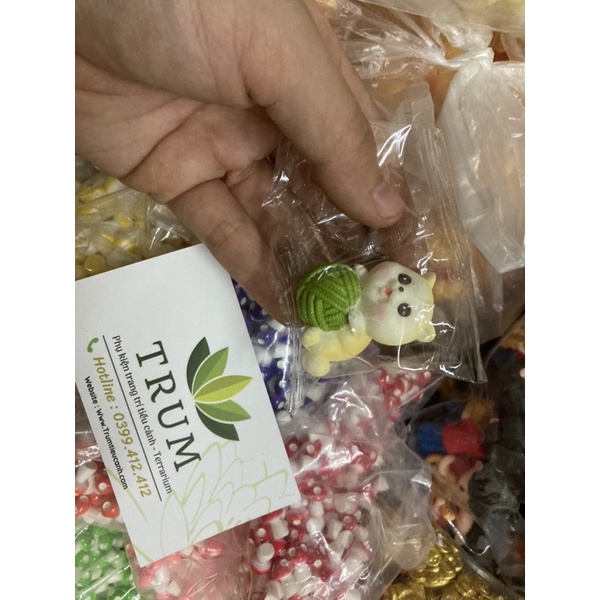 Mèo Baby Dễ Thương Lớn mô hình trang tri tiểu cảnh sen đá -terrariuma