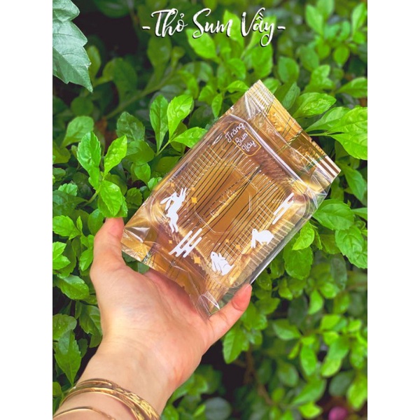 COMBO Khay + Túi đựng bánh trung thu size 150g - 200g sấp 100 CÁI túi hàn
