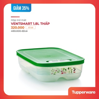 Hộp trữ mát Ventsmart 1.8L thấp - Nắp có nút hô hấp