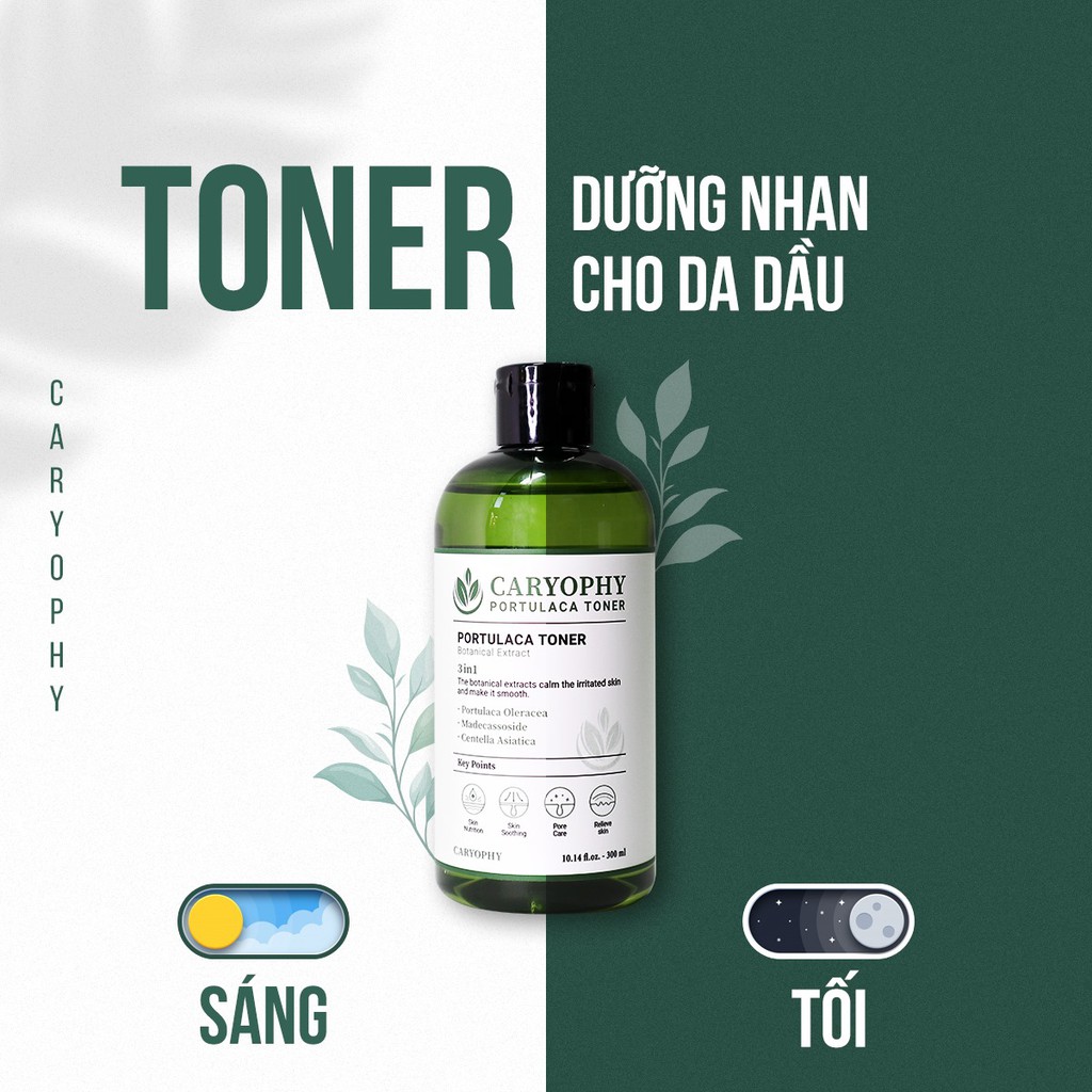 Toner cho da dầu mụn da dầu nhạy cảm ngăn ngừa mụn thâm dành cho da hỗn hợp Caryophy hàn quốc | BigBuy360 - bigbuy360.vn