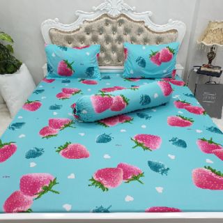 DRAP THUN HÀN QUỐC GIÁ HẤP DẪN