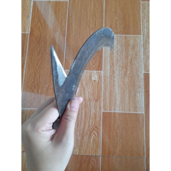 Cu liêm dựt dừa