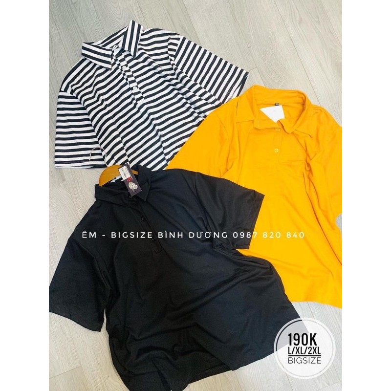 Áo Thun có cổ [Bigsize] | BigBuy360 - bigbuy360.vn