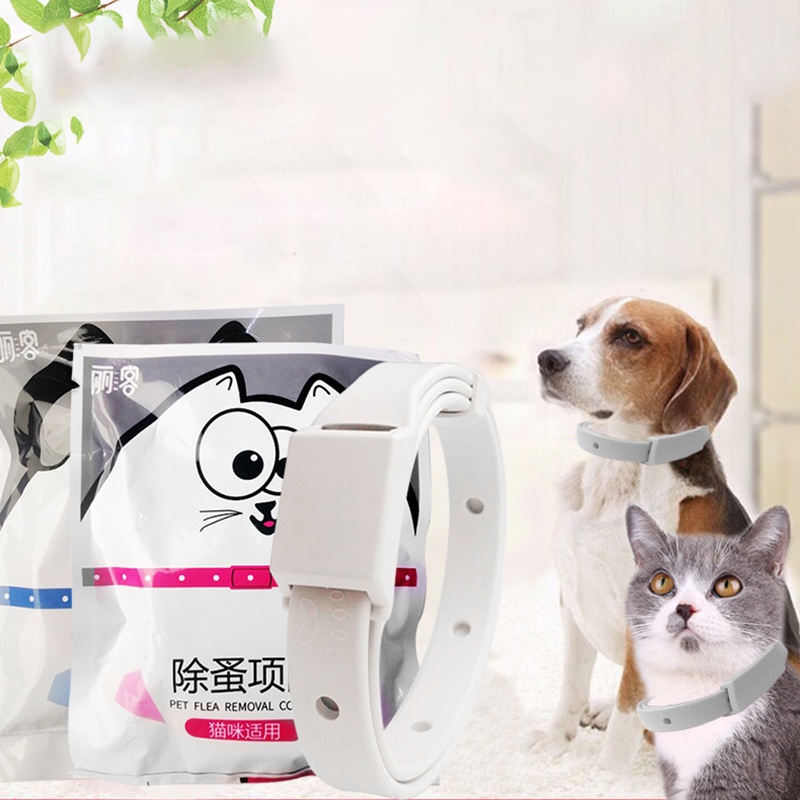 Vòng cổ diệt bọ chét và bọ chét cho chó Phòng chống côn trùng Vòng cổ bảo vệ muỗi cho chó và mèo