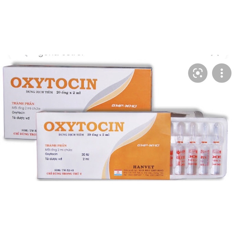 1 ống OXYTOCIN kích đẻ cho chó mèo, lợn trâu bò