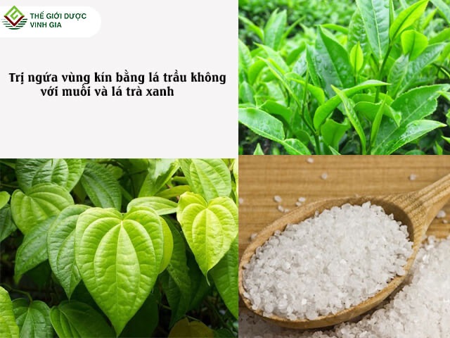 Bột lá trầu không nguyên chất 100% - giảm mụn, mờ nám, trawngs da, xông vùng kín | Bột Natural