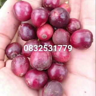 Combo Cà phê rang xay thủ công Nguyên chất