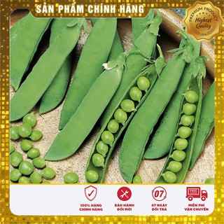 Hạt Giống Đậu Hà Lan(50gr)