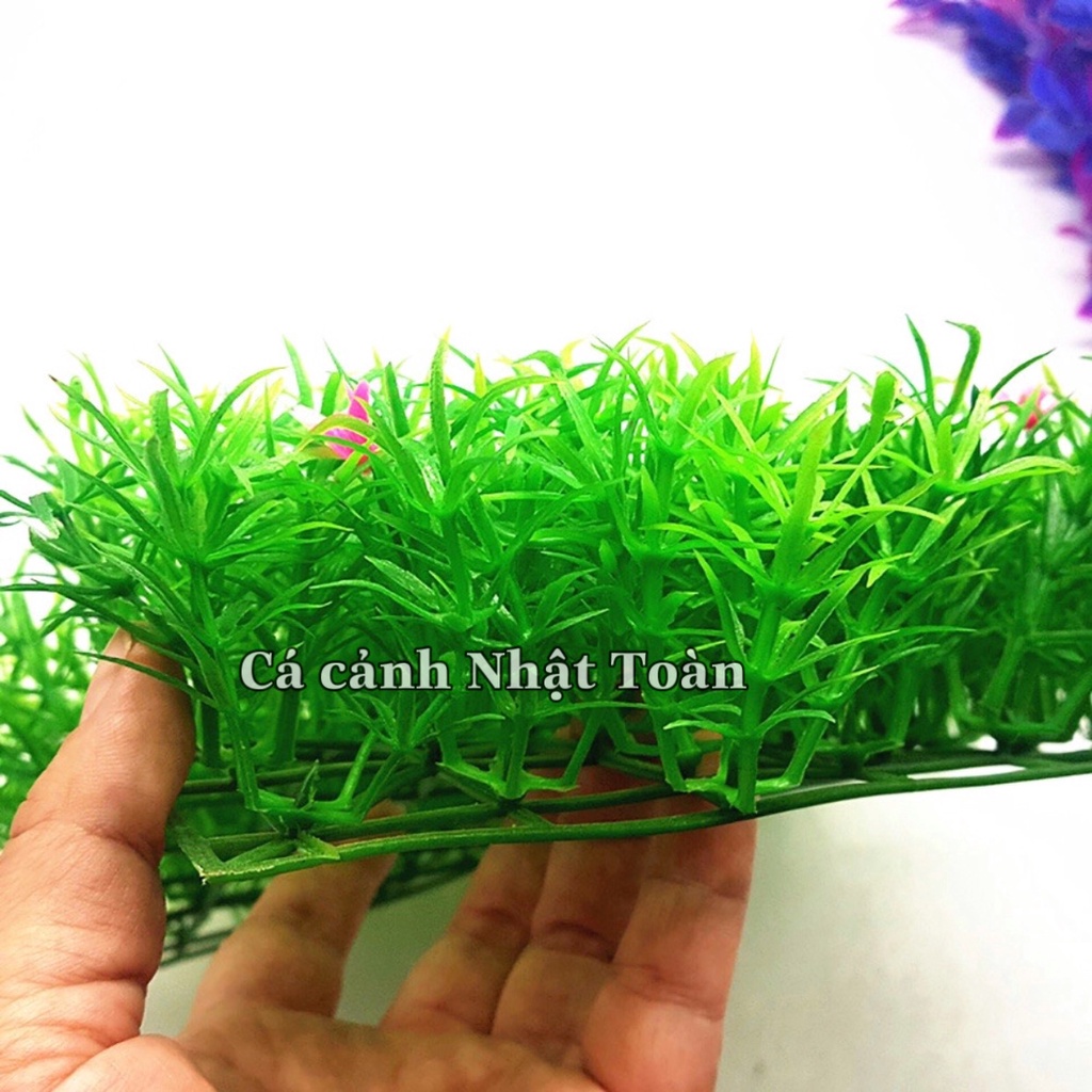 THẢM CỎ NHÂN TẠO BÔNG TRANG TRÍ HỒ CÁ TIỂU CẢNH 25X25CM