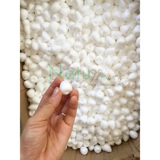 [FREE SHIP 99K] 50 Xốp nụ hoa, răng rồng tráp cưới