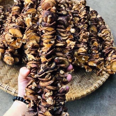 Nấm Hương Khô Rừng Thiên Nhiên Rừng Tây Bắc - Ẩm Thực Hà Giang, Đặc Sản Tây Bắc | BigBuy360 - bigbuy360.vn