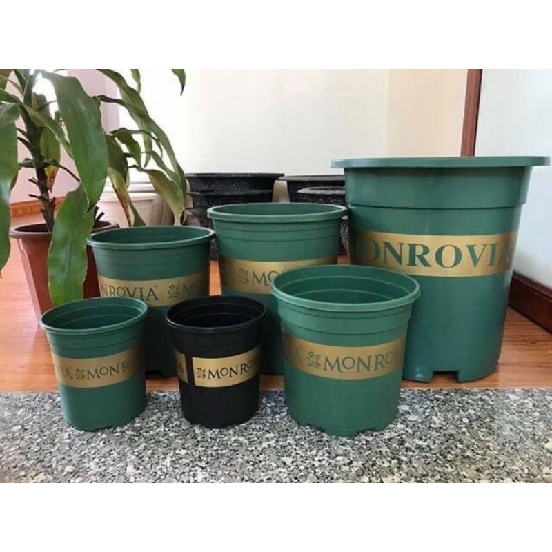 Chậu nhựa MON- GAL trồng hoa, cây cảnh  đủ size