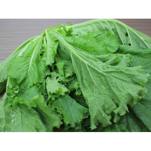 HẠT CẢI BẸ XANH MÀO GÀ - GÓI 20 GRAM