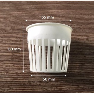 Combo 50 Rọ nhựa trồng thủy canh 65 x 60 mm (trắng)