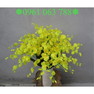 Hoa lan vũ nữ - Hoa lụa, hoa giả