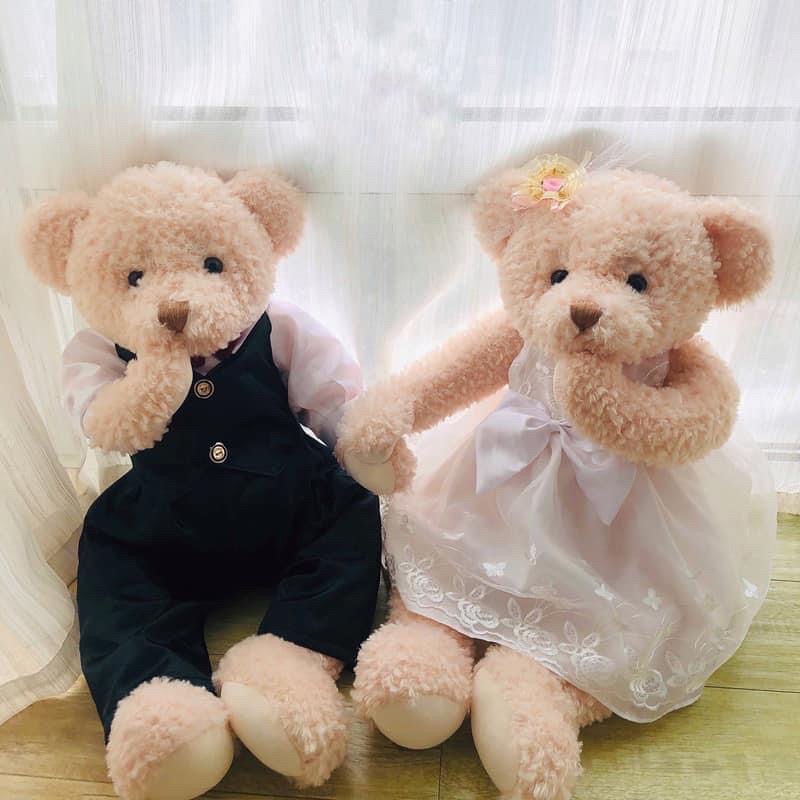 Cặp đội gấu bông Teddy 65cm hít nam châm tay- Thú nhồi bông Teddy mềm mịn đáng iu tại Nguyên  Gia group Cao Đạt quận 5
