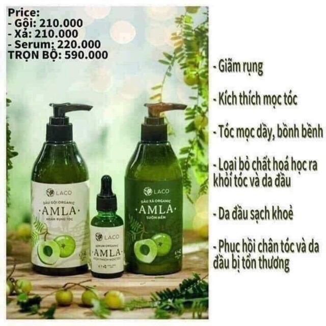 ❤DẦU XẢ THẢO DƯỢC AMLA❤️Tóc mềm mượt | BigBuy360 - bigbuy360.vn