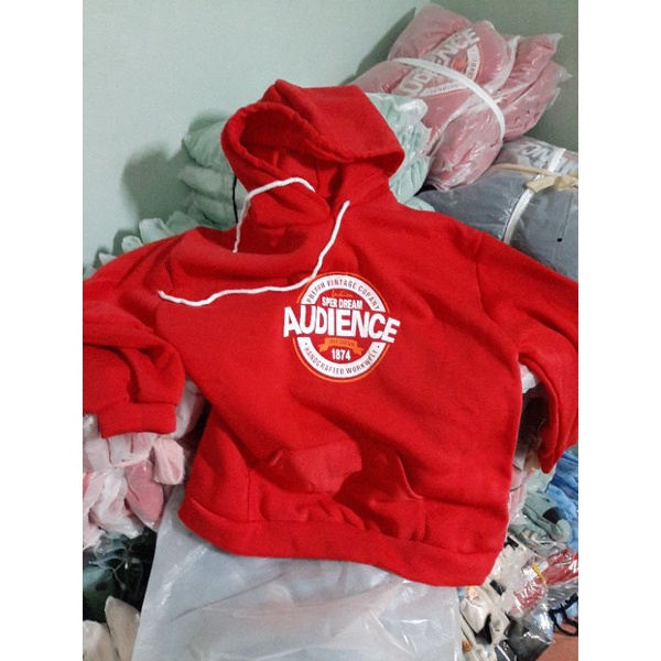 Áo nỉ hoodie AUDICEN form thụng.hangtotgiare98 | BigBuy360 - bigbuy360.vn