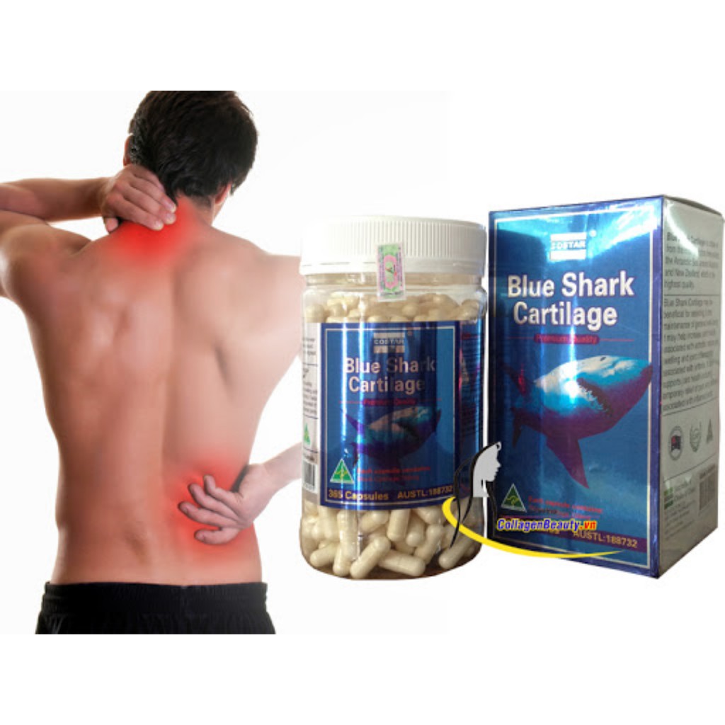 Sụn Cá Mập Costar Blue Shark Cartilage 750mg 365 Viên