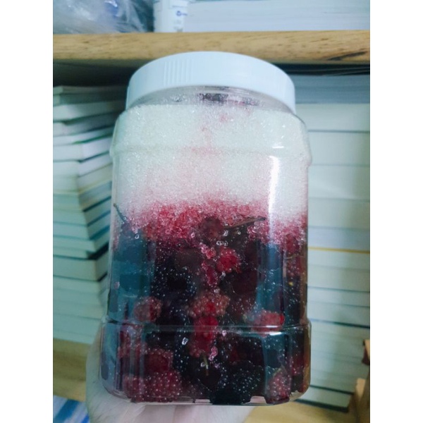 Dâu tằm ngâm đường hủ 1kg
