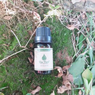 Tinh dầu Tràm Gió 10ml tới  50ml