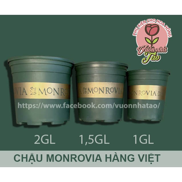 Chậu Monrovia hàng Việt size 1gl -1,5gl-2gl [ 2 màu đen và xanh]