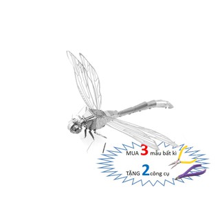 Mô Hình Lắp Ghép kim Loại 3D Chuồn Chuồn