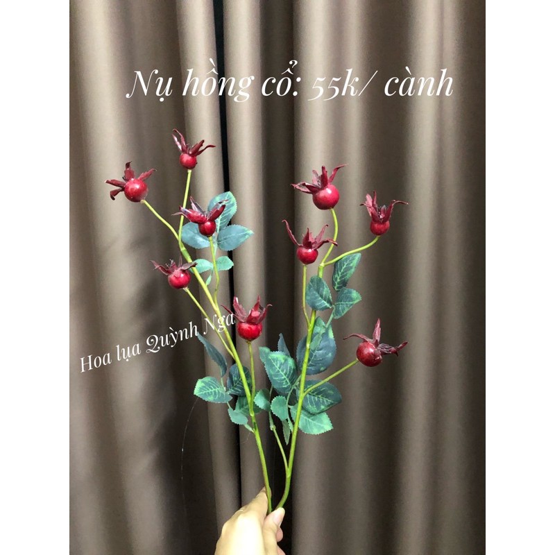 Cành quả lựu/ nụ hồng cổ