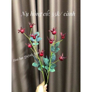 Cành quả lựu/ nụ hồng cổ