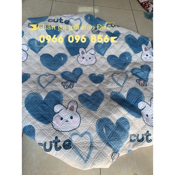 XẢ KHOGa giường bo chun trần bông đủ size nệm