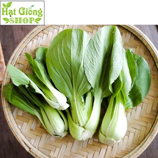Hạt giống rau cải thìa