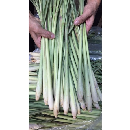 Sả cây 500 gram