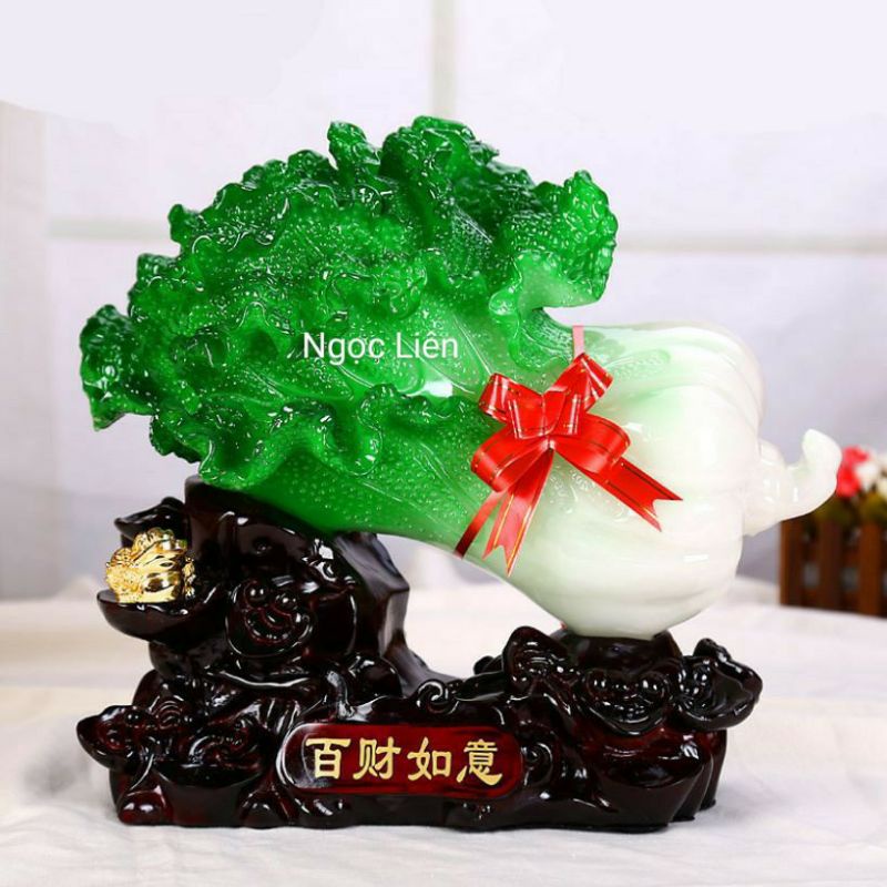Bắp cải phong thủy phát tài giá bèo