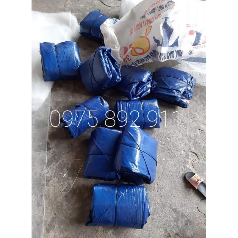 BỂ BẠT NUÔI , RUỒI LÍNH ĐEN , SÂU CANXI , GIUP QUẾ ,