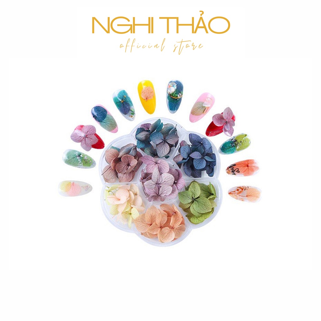 Hoa khô nail trang trí móng cánh to 7 màu