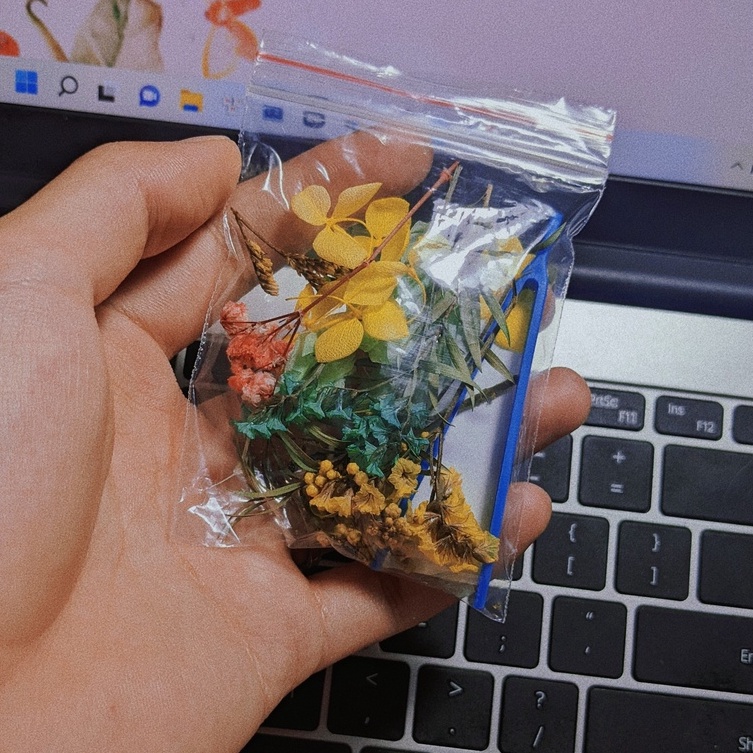 Set hoa khô mix màu dùng đổ keo resin+ nhíp gắp hoa