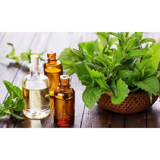 Tinh dầu Bạc hà cao cấp lọ 20ml