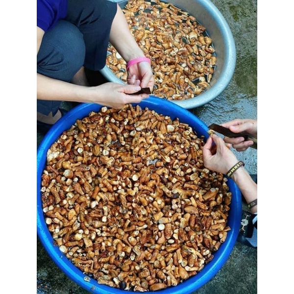 RUỐC NẤM HƯƠNG 500G