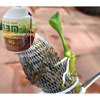 Thuốc ra rễ N3M - hủ 100gr