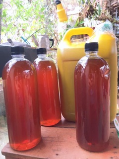 Mật ong hoa cà phê Đăk Lăk 2 lit